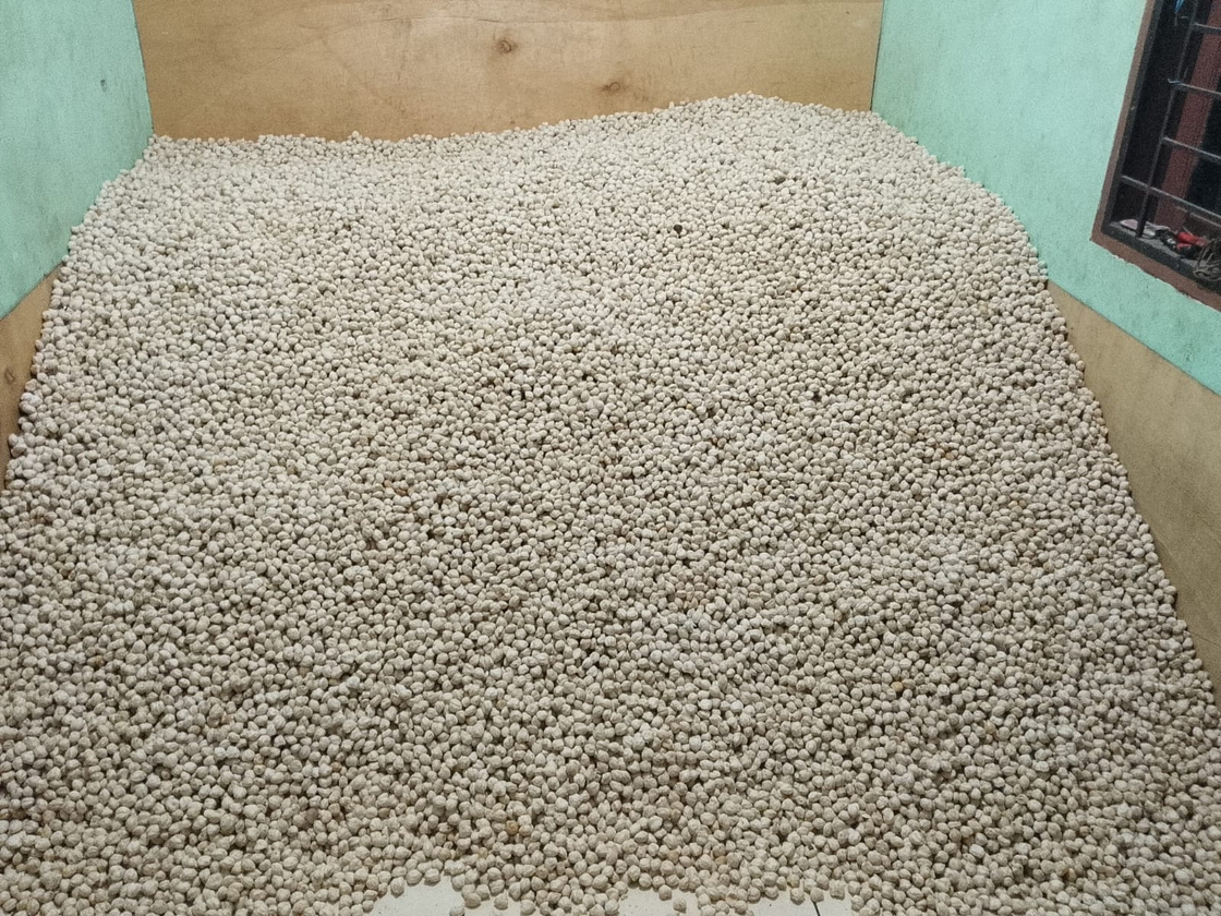 Candlenut drying floor