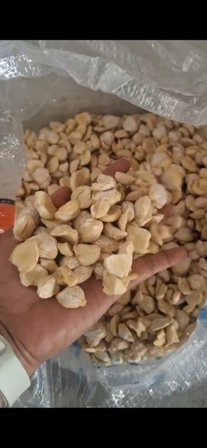 Candlenut Piece