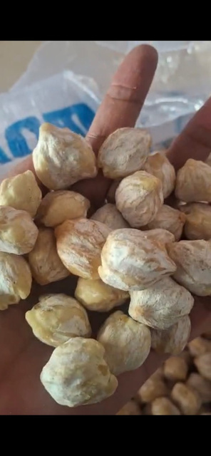 Whole Candlenut